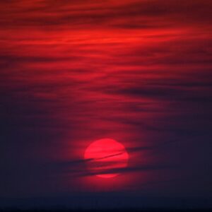 Fanzine_Reinserción: imagen 4