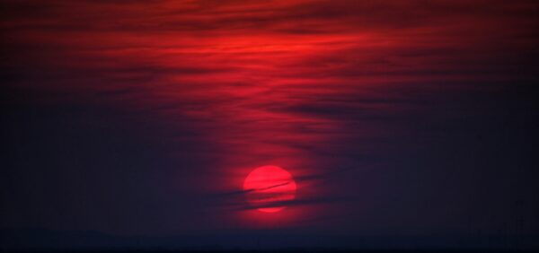 Fanzine_Reinserción