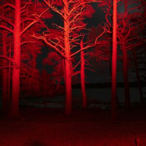 Fanzine_Reinserción: imagen 2