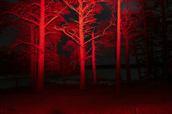 Fanzine_Reinserción